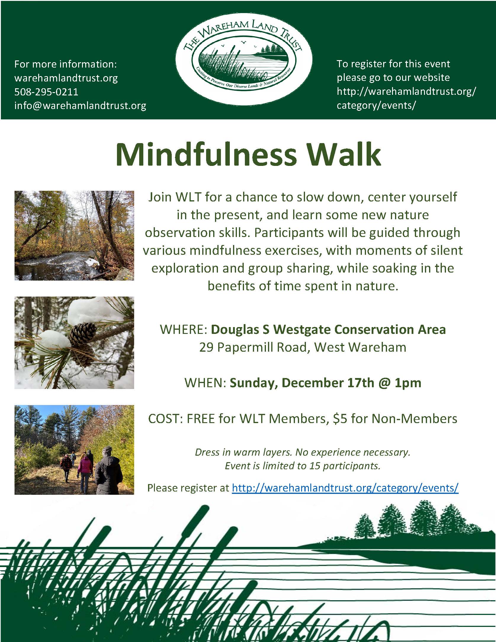 Beachside Mindful Walk