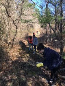 A team of WLT is working in the forest