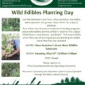 Wild Edibles Planting Day – May 15, 2021