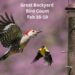 Join the Great Backyard Bird Count!