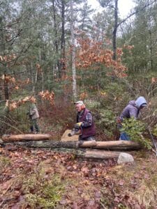 People working in a forested area.