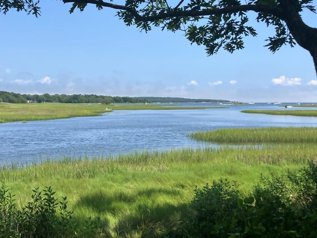 Scenic view of Marks Cove Vista salt marsh