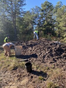 People working in the forest