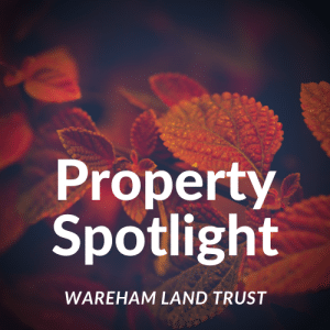 Property Spotlight