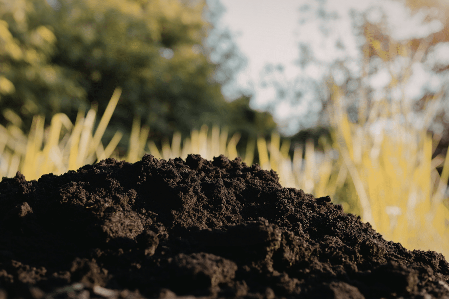Soil