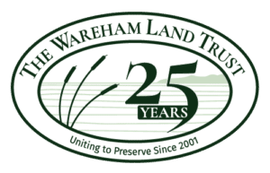 WLT 25 Years Logo 500px