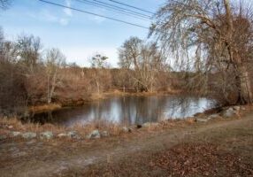 A frozen pond at the Great Neck Wildlife Sanctuary the Wareham Land Trust and Mass Audubon have preserved. Photos by Bobby Grady