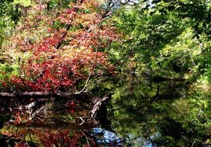 Calm river reflecting colorful autumn foliage