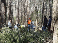 Group of people working together in a forest area.